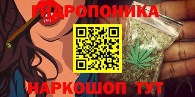 дживик Партизанск